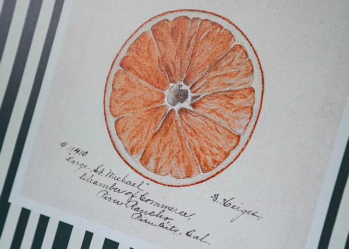 Alte Schule Klassenzimmer 5 Tating